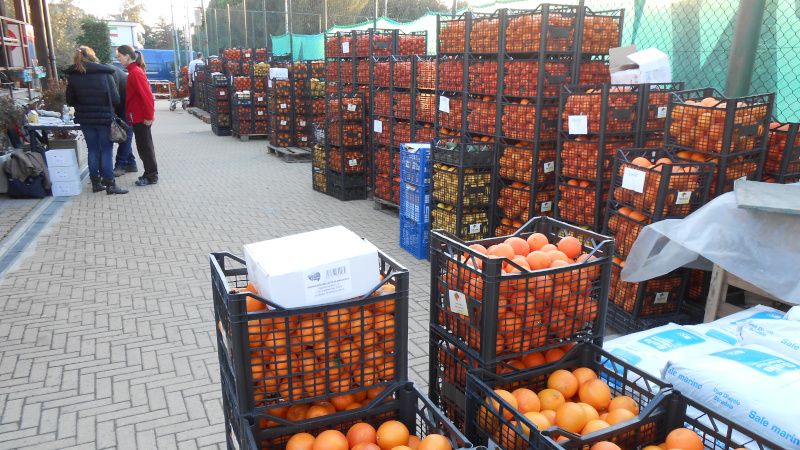 Gruppi d'acquisto in rete