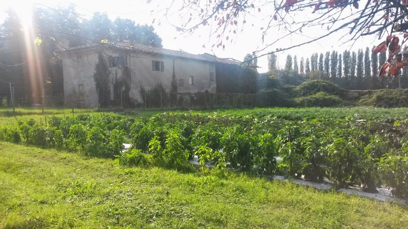 Beni comuni e agroecologia. Una scelta per il futuro.
