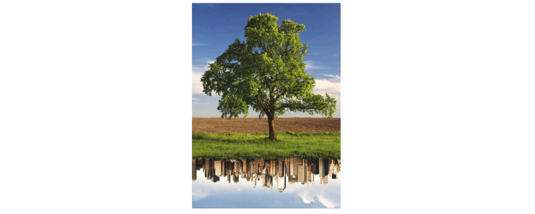 Convegno su "Metropoli agricole" a Milano