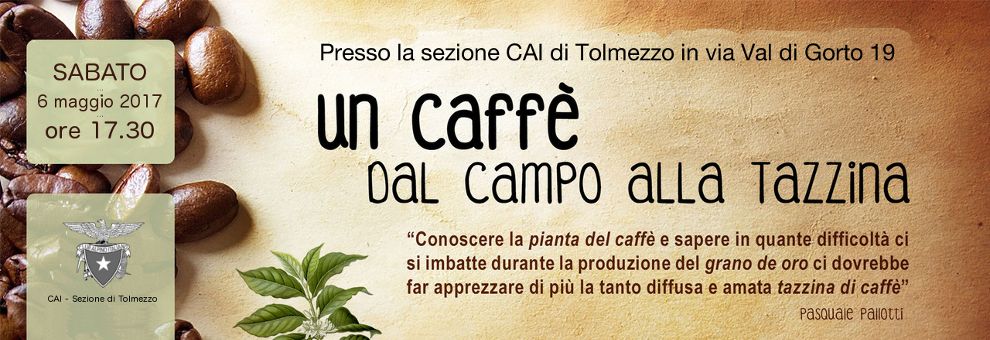 Un caffé dal campo alla tazzina