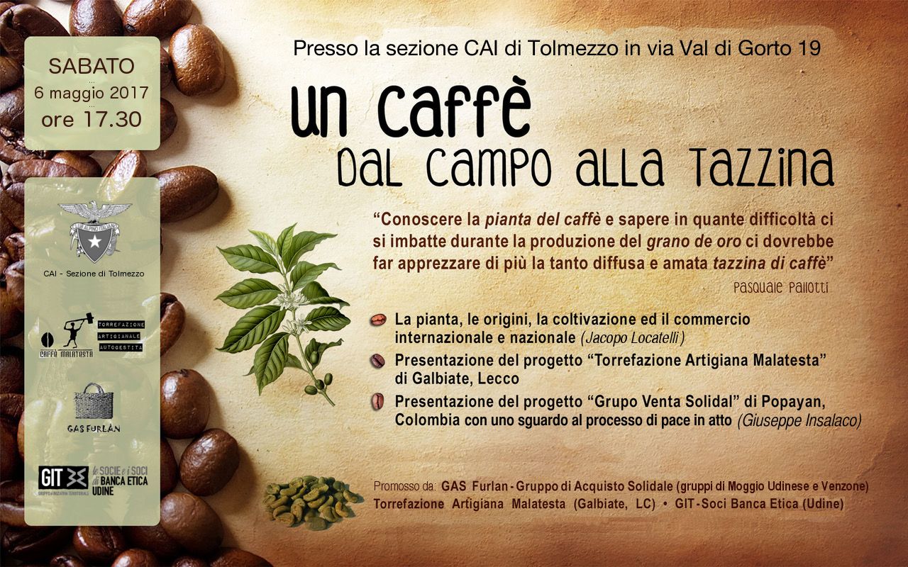 Un caffé dal campo alla tazzina