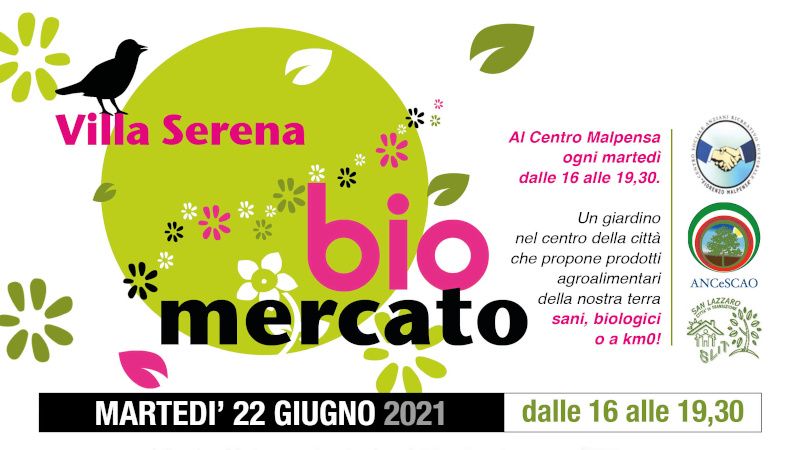 Pensando al solstizio: presentazione del libro "Cosa c'è nel mio piatto"