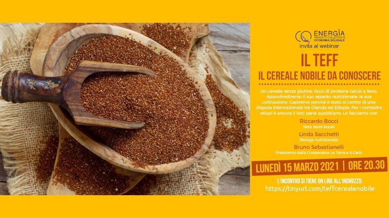 Incontro online sul Teff, il cerale nobile da conoscere