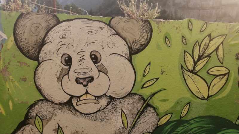 Dalla strategia delle foreste di bambù, la forza delle connessioni per resistere e cambiare il mondo