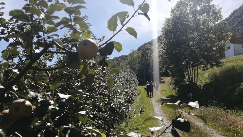 Trent’anni di Gas: nascita, evoluzione e futuro dei Gruppi d’acquisto solidale