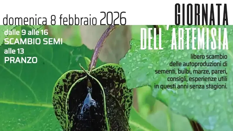 Giornata dell’artemisia