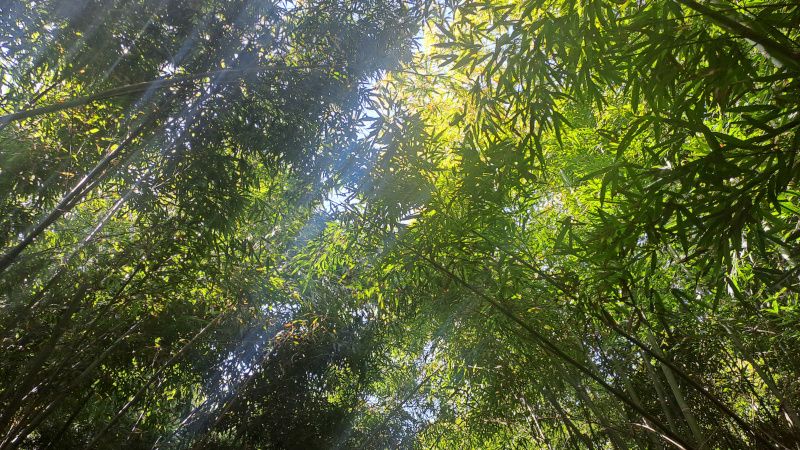 La forza delle connessioni