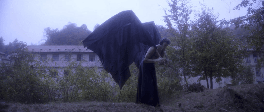 Le ali non sono in vendita