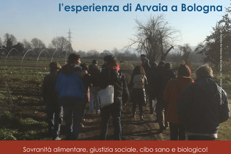 Da Mestre ad Arvaia e ritorno