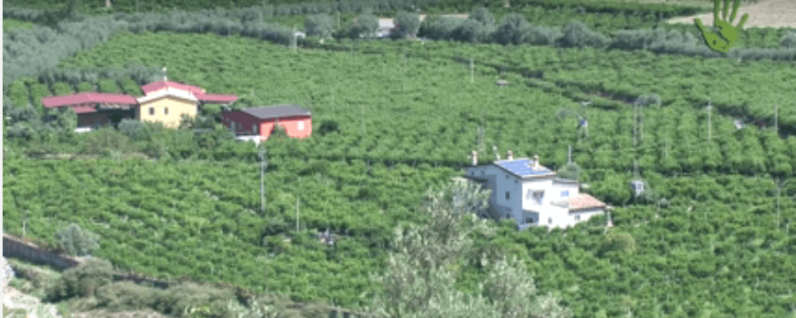 L’agricoltura in Calabria? Donna, biologica e solidale!