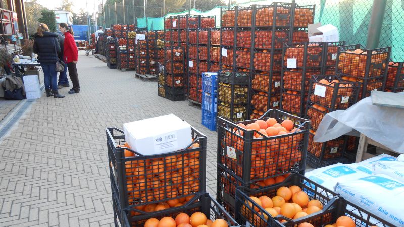 Riorganizzare la distribuzione a Torino