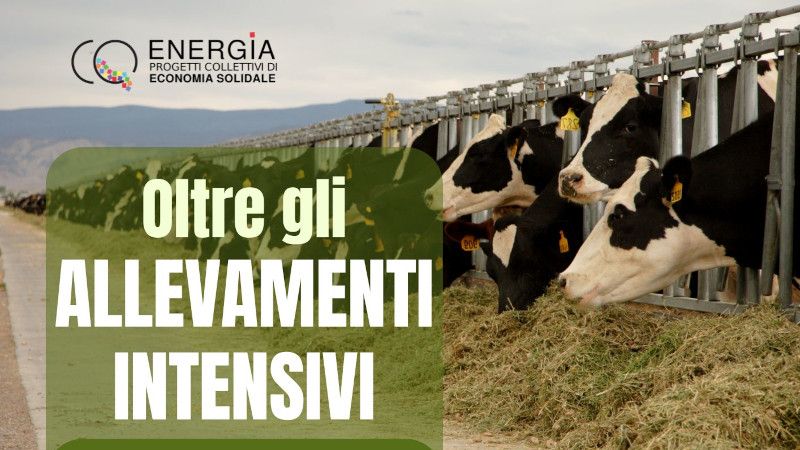 Oltre gli allevamenti intensivi, incontro on line il 19 marzo