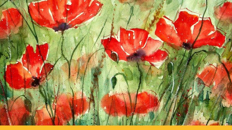 Coltivare la sovranità alimentare per seminare la pace