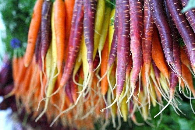 Come curare le piante in modo naturale, sabato da Verdessenza