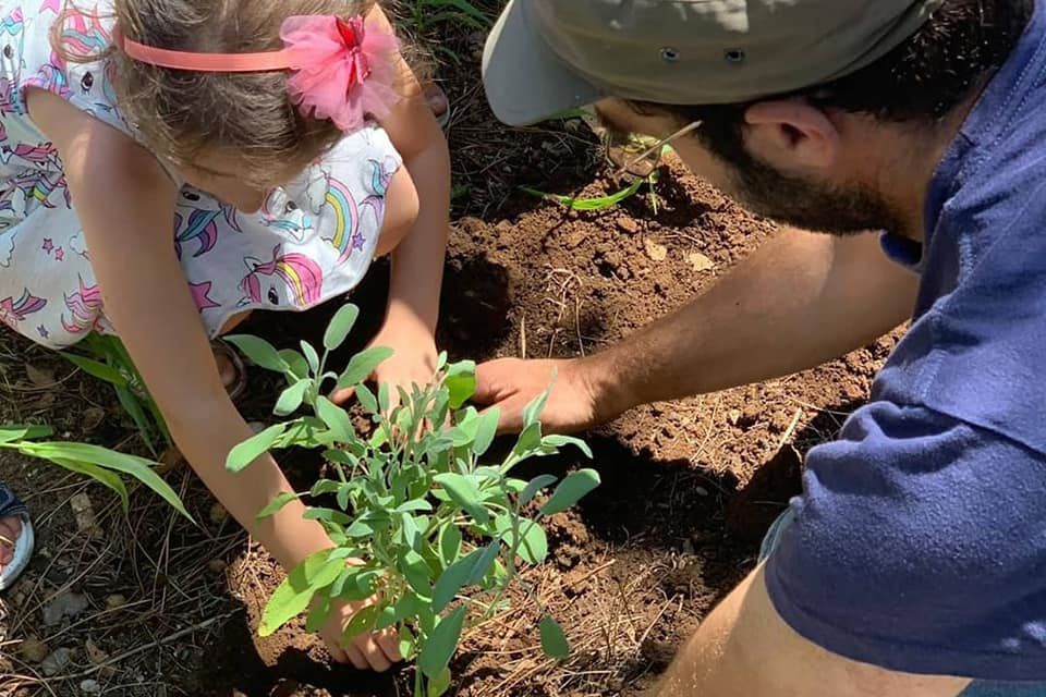 Stati Generali Solidali