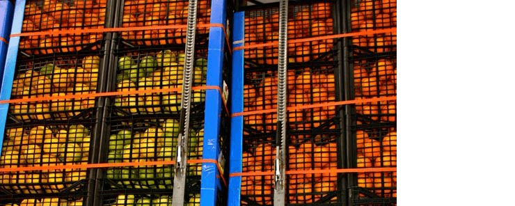 A partire dalle arance