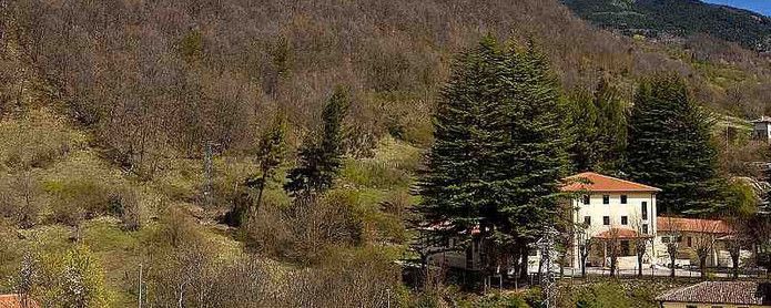 Da REES Marche per i terremotati