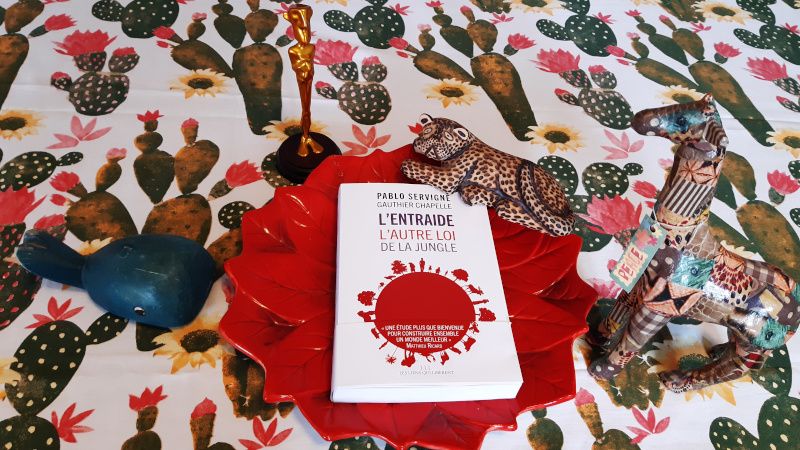 L'altra legge della giungla