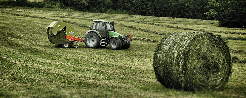 Al via il crowdfunding per le realtà dell'economia solidale terremotate