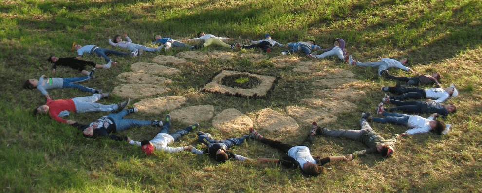 REES Marche sostiene Forestalp