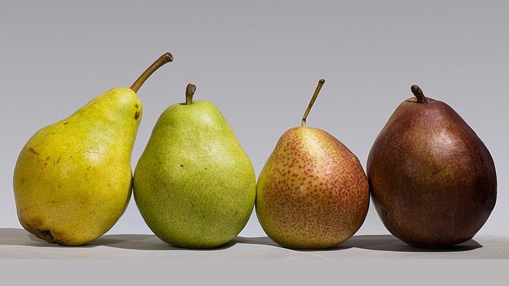 Gruppi d'acquisto solidale, un fenomeno in crescita