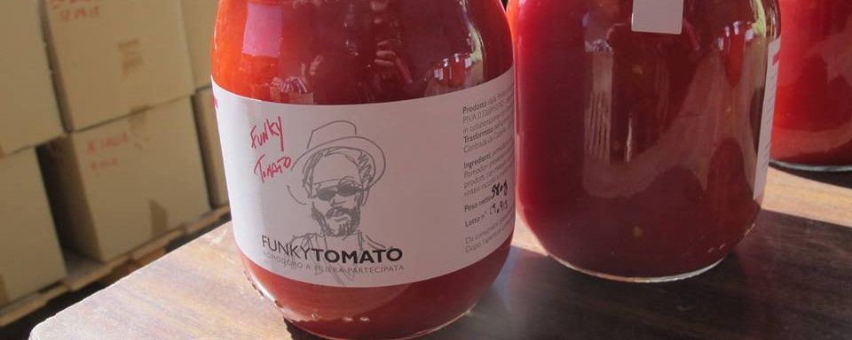 Funky Tomato 2016