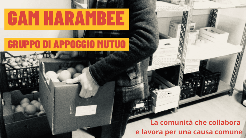 GAM Harambee, dal Gas nasce un Gruppo di Appoggio Mutuo