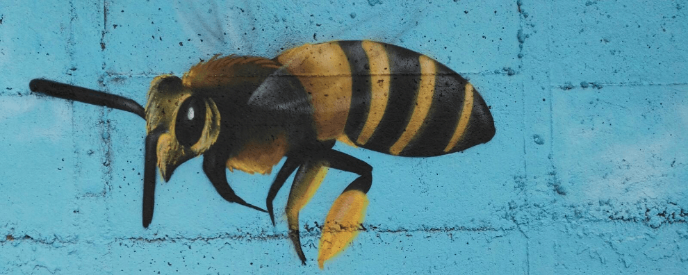 Posterremoto pensando al 2017