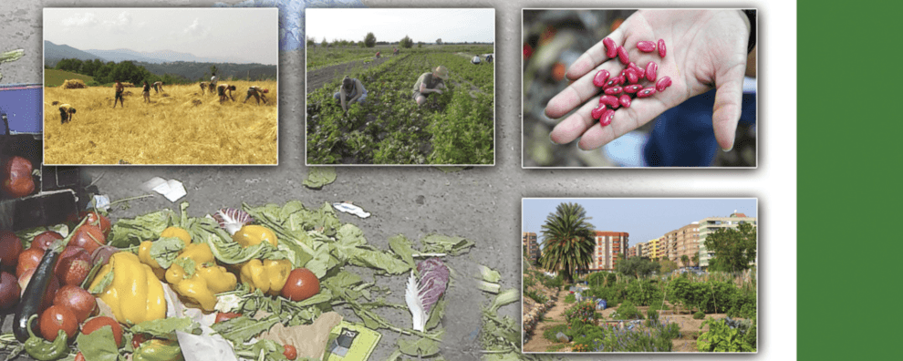 Un approccio sistemico per la prevenzione dello spreco alimentare