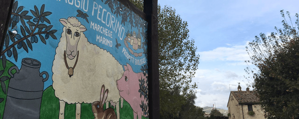 Post-terremoto: le risposte dell’economia solidale