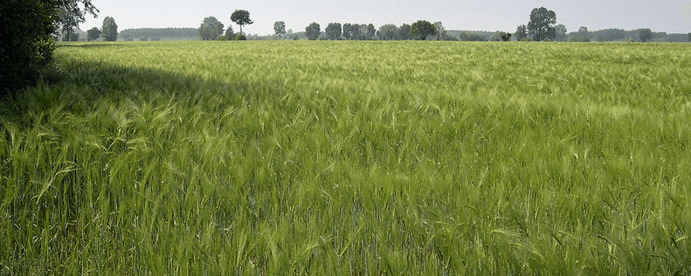 Insieme, sulla strada verso un'altra economia