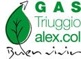 GASALEX.COL TRIUGGIO