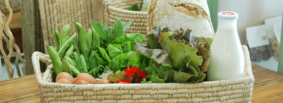 MondoMangione estende il Mo.Ma.Market