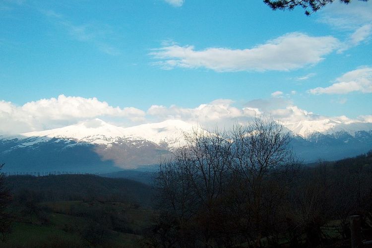 L’alleanza che sostiene i produttori del Centro Italia, oltre il terremoto