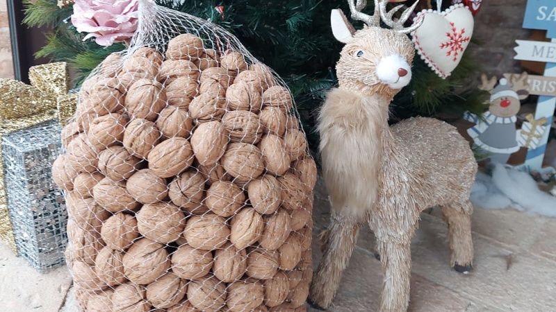 Facciamo sentire le nostre n(v)oci solidali