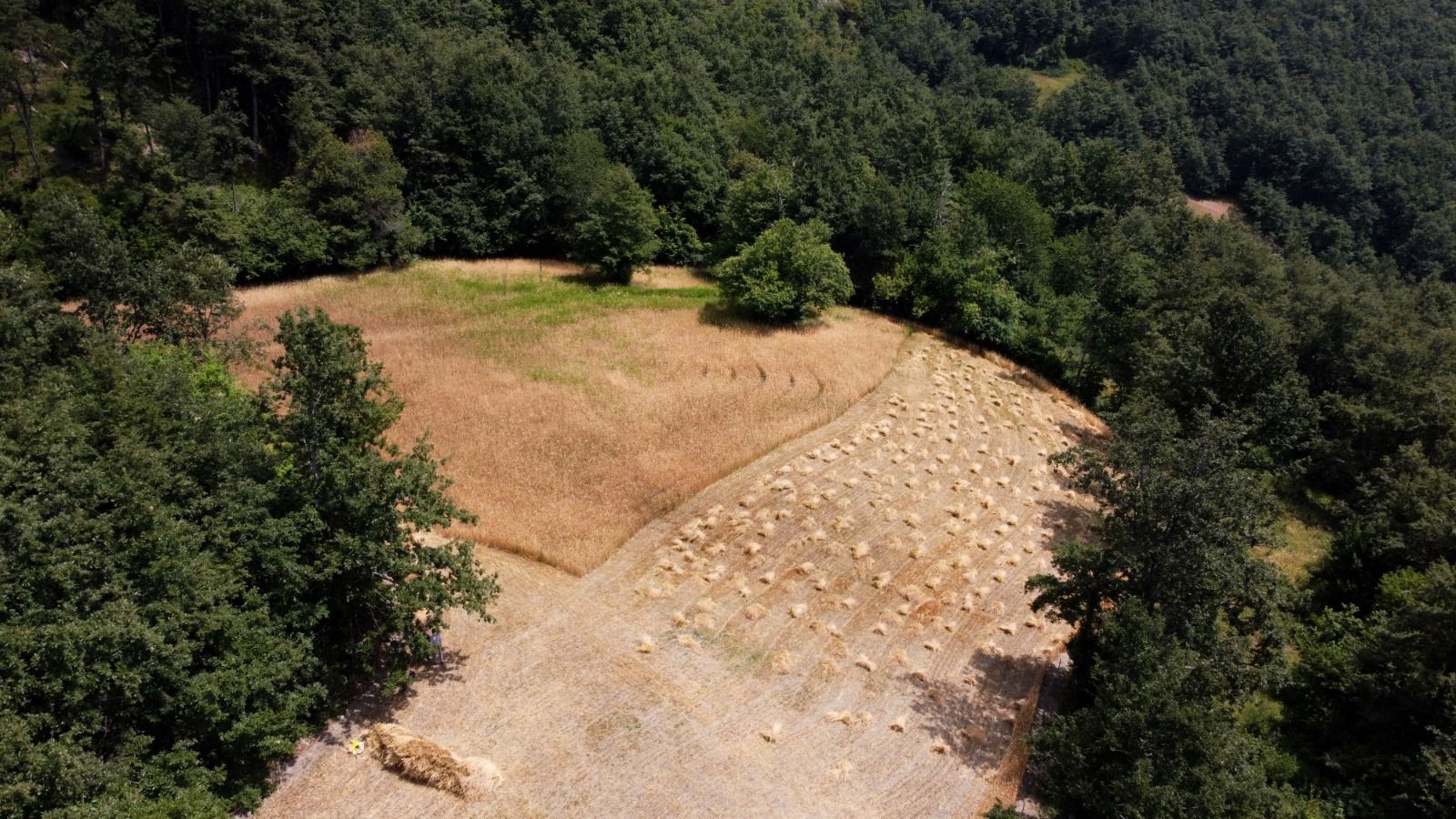 Le aziende contadine di prossimità dell’Emilia Romagna al convegno del Forum di Bologna