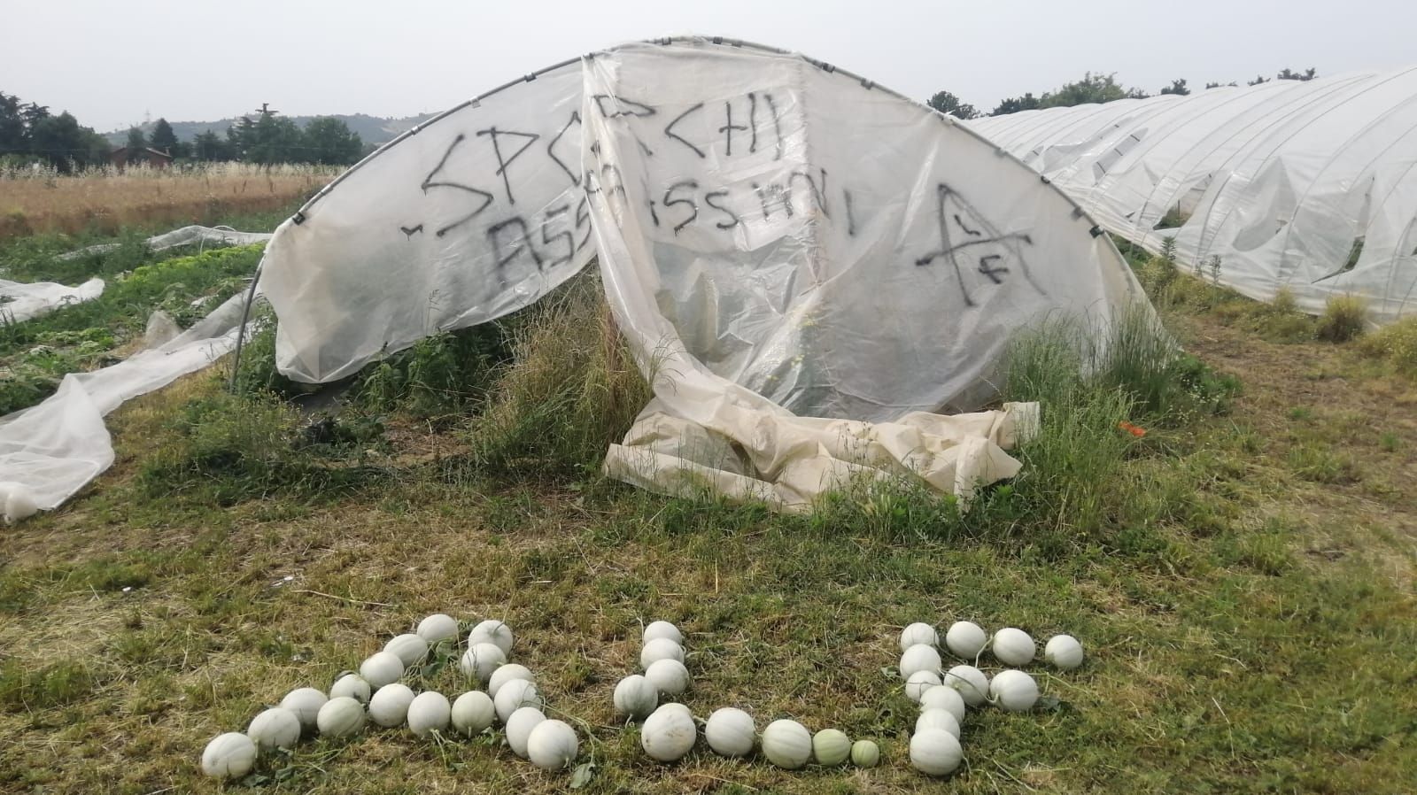 Gravi danni alle colture di Arvaia. Solidarietà e sostegno.