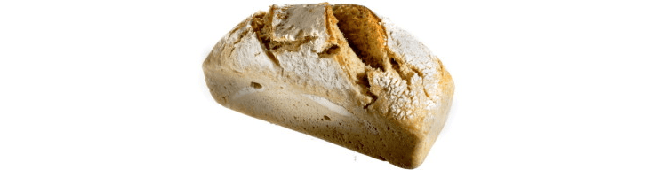 Dal grano al pane, nasce Panacea Social Farm