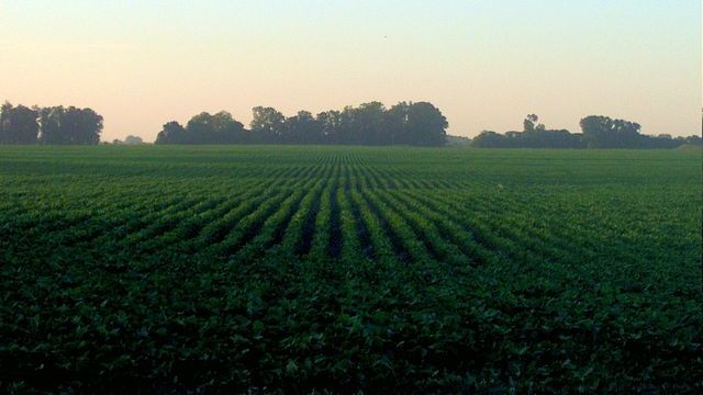 Dare rispetto e valore al lavoro agricolo