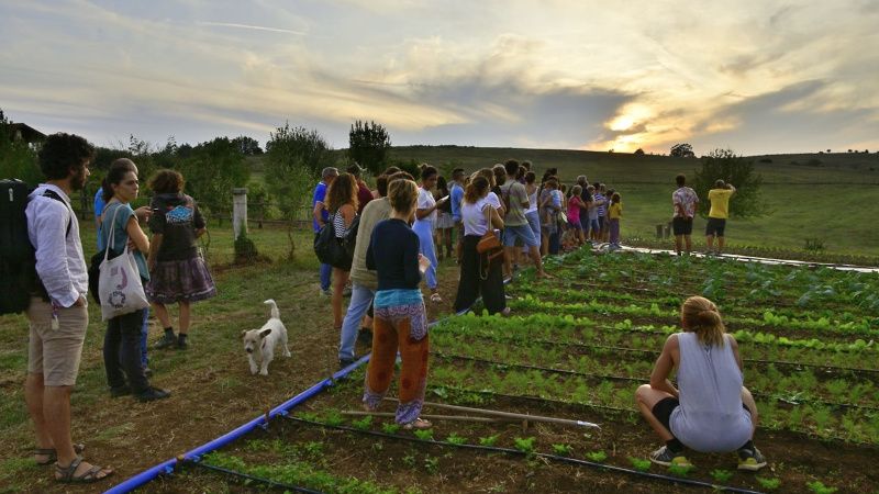 Coltivare la comunità