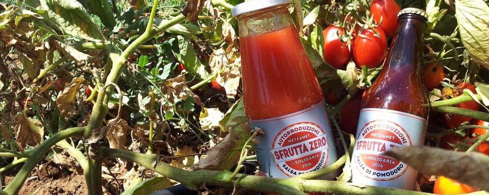 Pomodori Sfrutta Zero