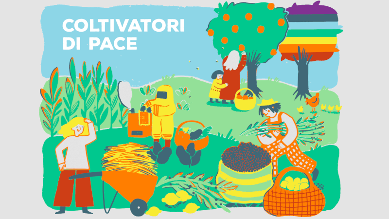 Le alternative alla GDO