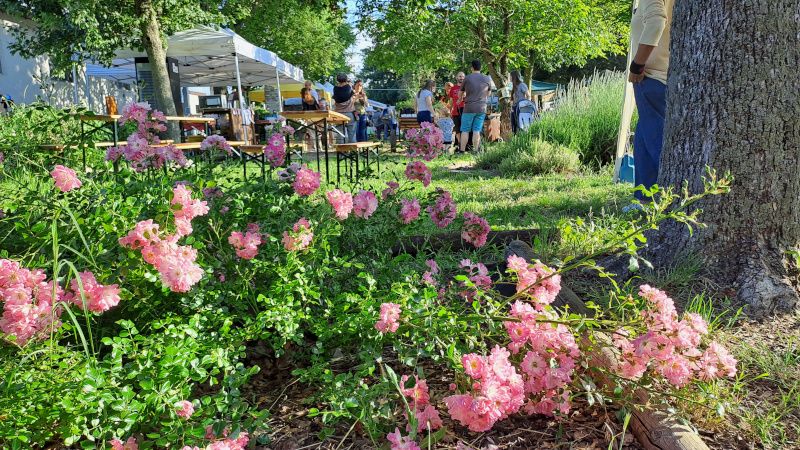 Effetto Solidalia, la bellezza dell’incontro e del confronto
