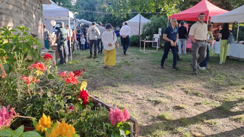 Innovare i gruppi d’acquisto solidale: il percorso Effetto Gas