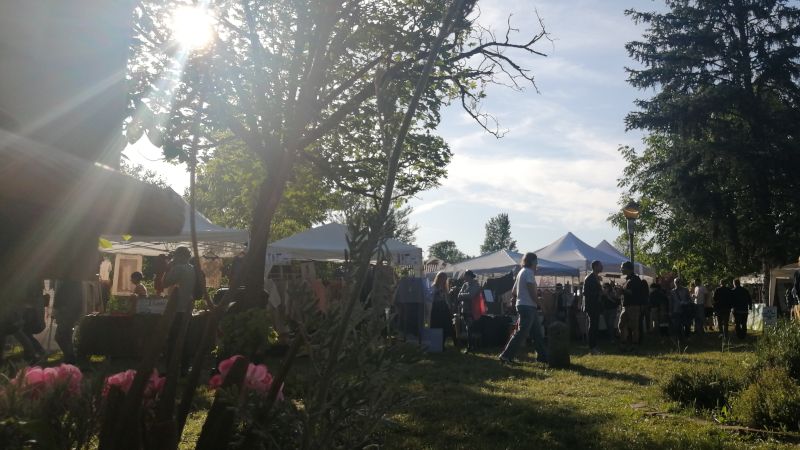 Effetto Gas verso Solidalia 2026