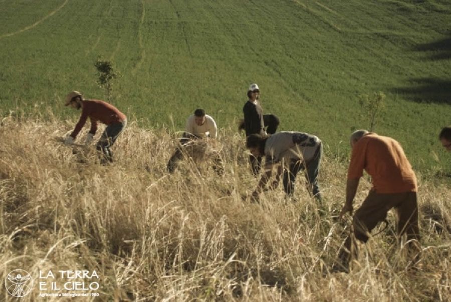 Presentazione della campagna SOS-teniamo La Terra e il Cielo