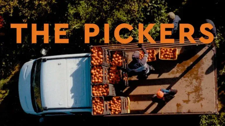 The Pickers