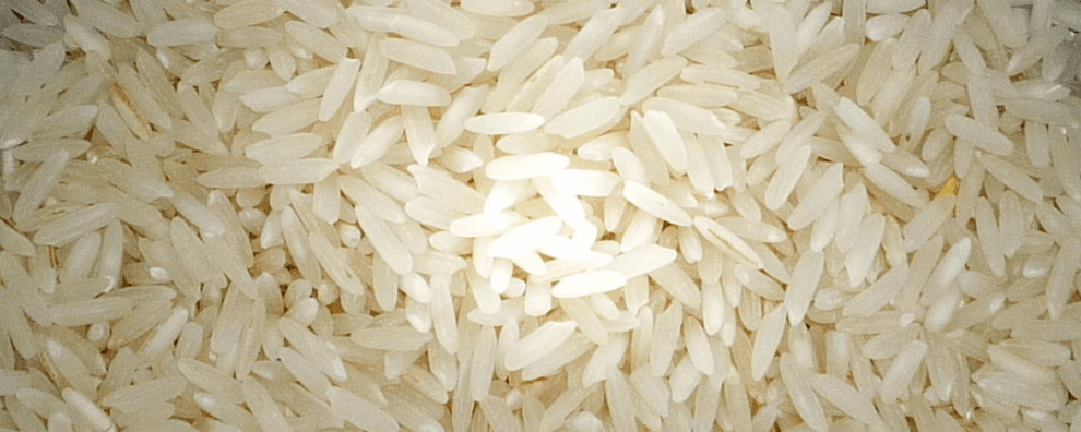 Riso e crowdfunding per l'economia solidale