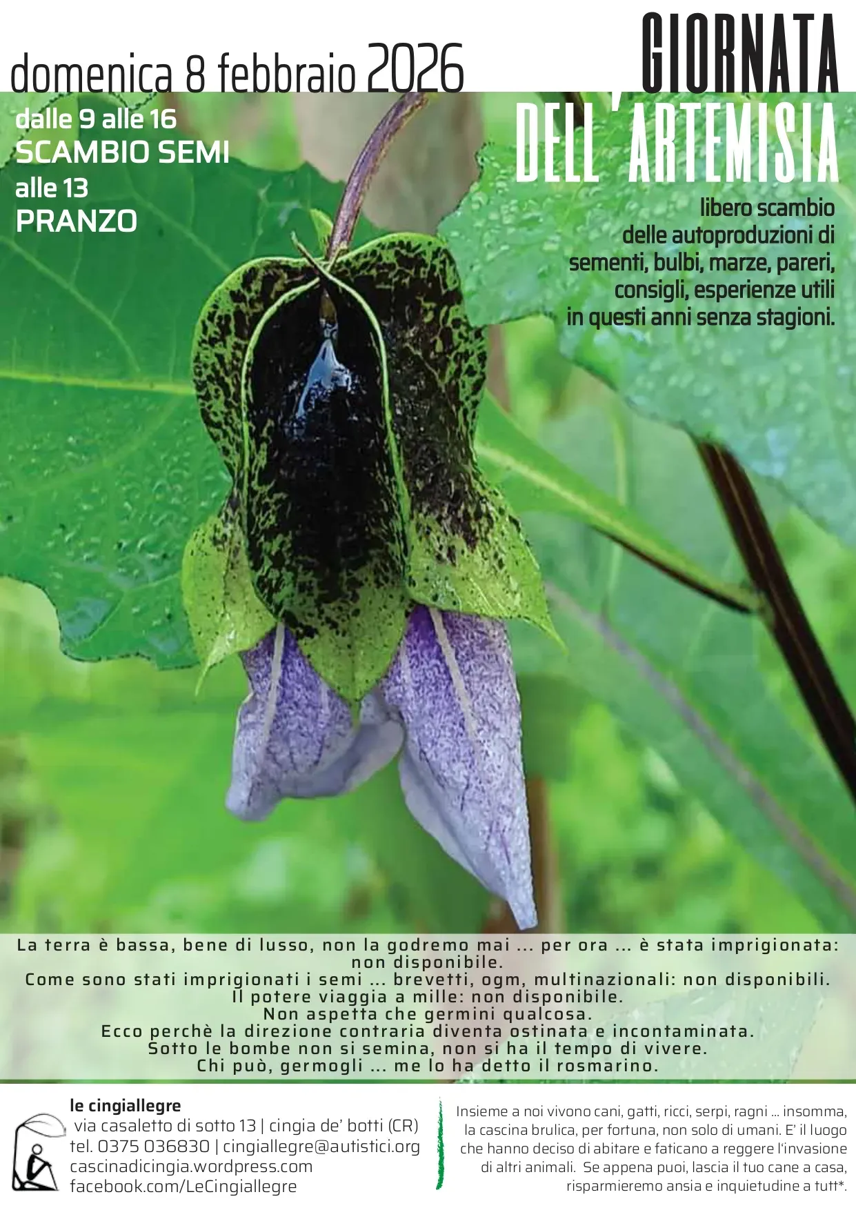 Giornata dell’artemisia