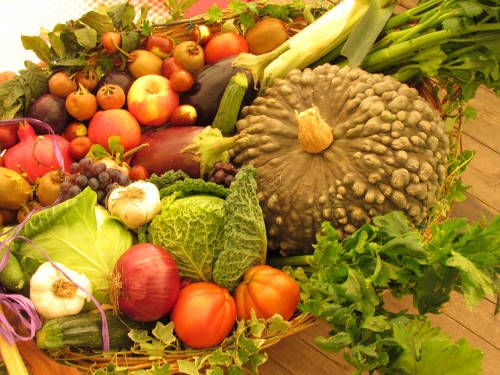 Isola e TerraTerra insieme per una distribuzione del bio locale